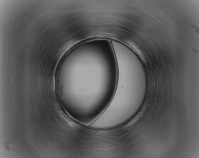 X0000091960940200709061057