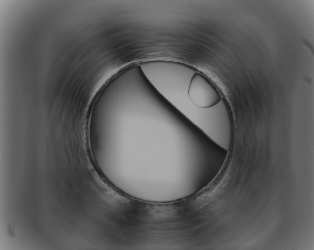 X0000091960941200709061057