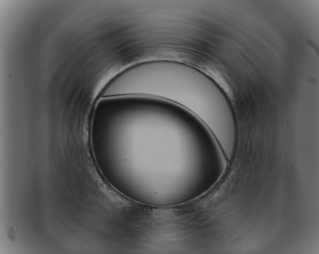 X0000091960944200709061057
