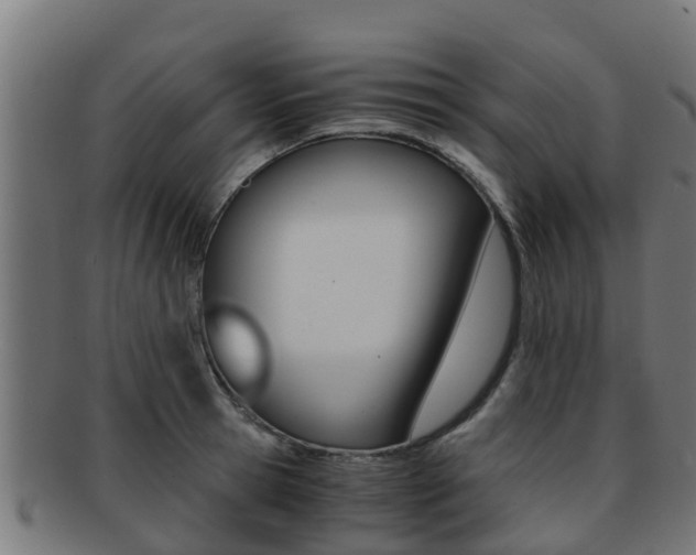 X0000091960945200709061057