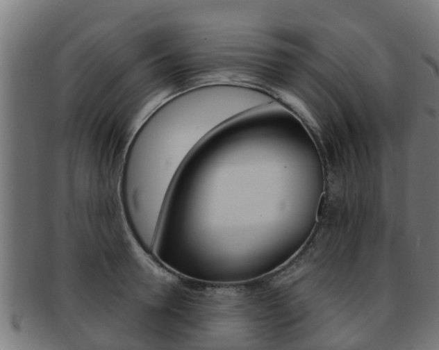 X0000091960946200709061057