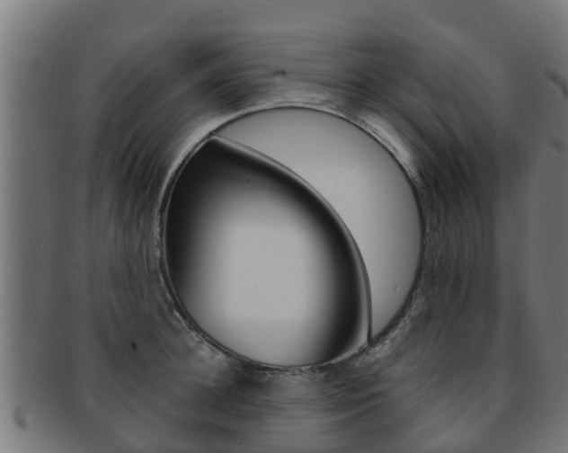 X0000091960948200709061057