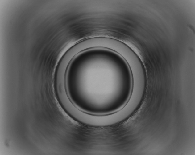 X0000091960949200709061057
