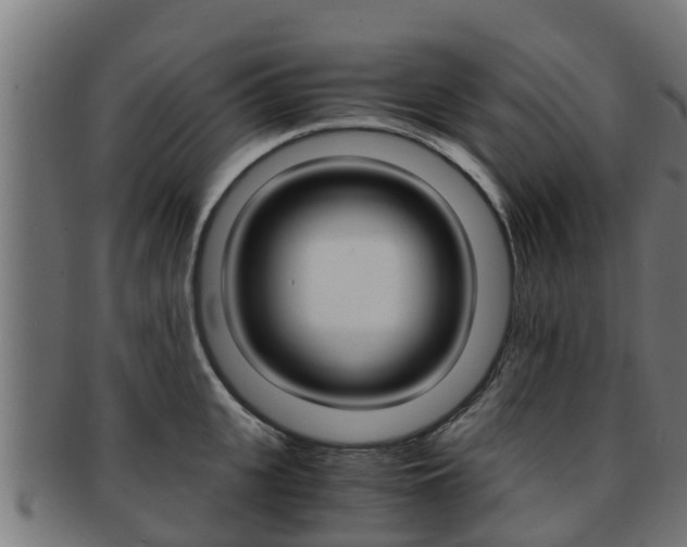 X0000091960951200709061057