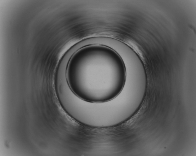 X0000091960952200709061057