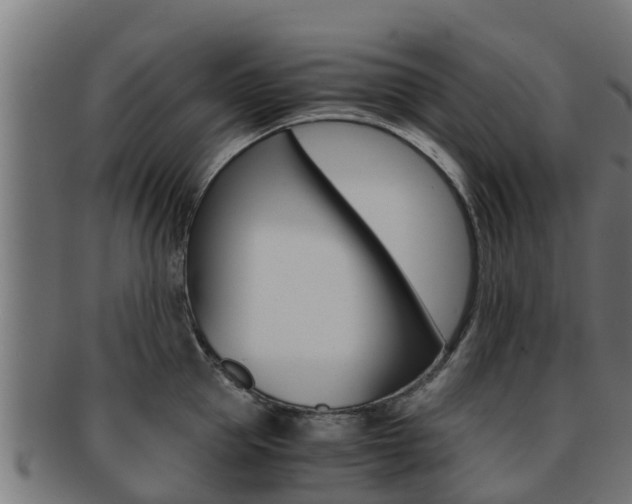 X0000091960953200709061057