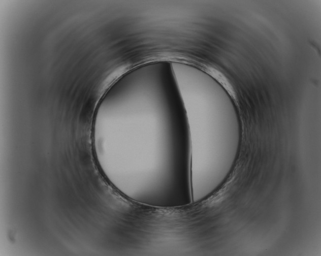 X0000091960954200709061057