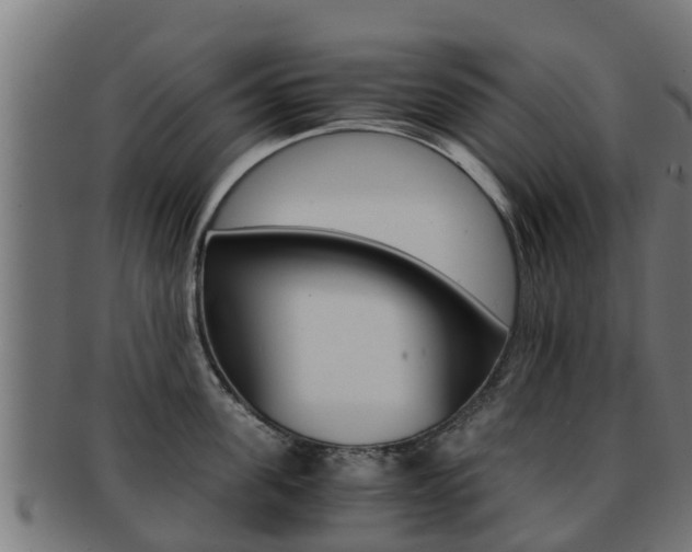 X0000091960955200709061057