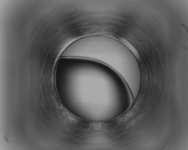 X0000091960956200709061057
