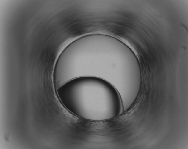 X0000091960959200709061057