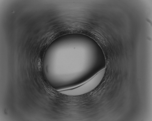 X0000091960963200709061057