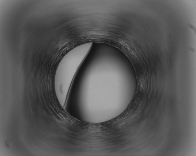 X0000091960964200709061057