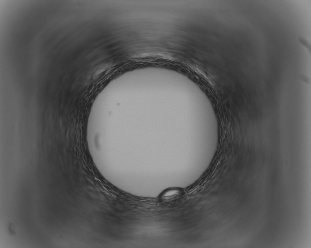 X0000091960965200709061057