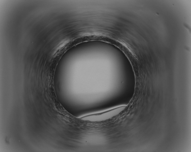 X0000091960967200709061057