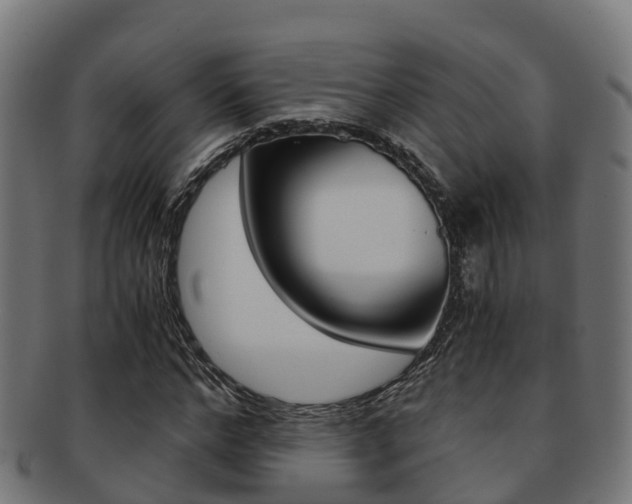 X0000091960968200709061057