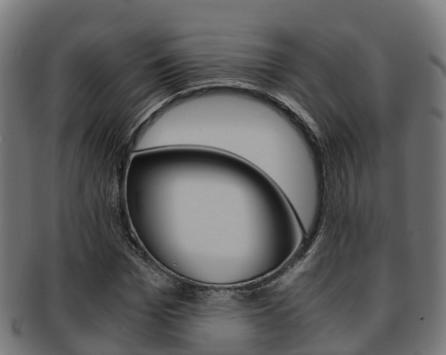 X0000091960969200709061056
