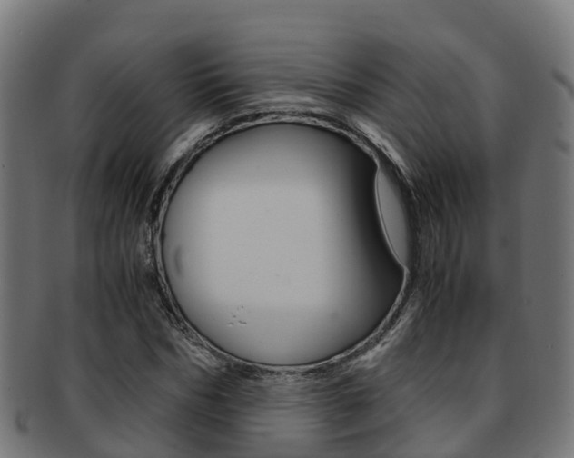 X0000091960970200709061056