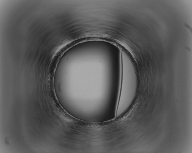 X0000091960971200709061056
