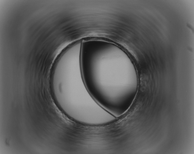 X0000091960972200709061056