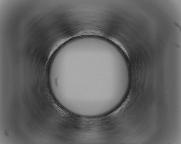 X0000091960973200709061056