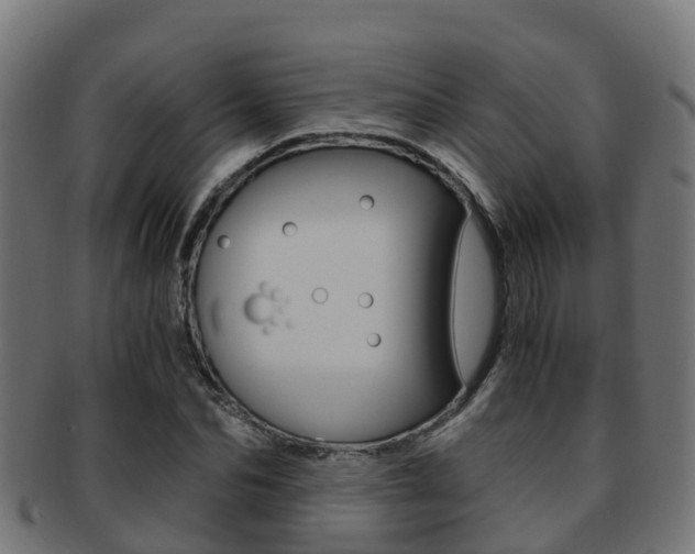X0000091960974200709061056