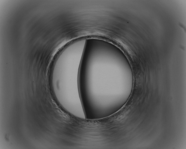 X0000091960975200709061056