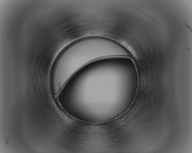 X0000091960976200709061056