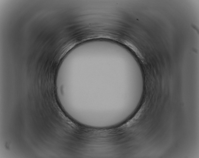 X0000091960977200709061056