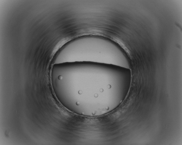X0000091960978200709061056