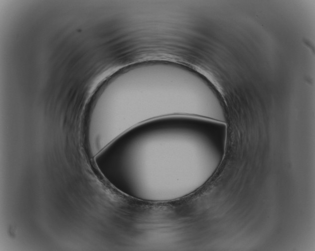 X0000091960979200709061056