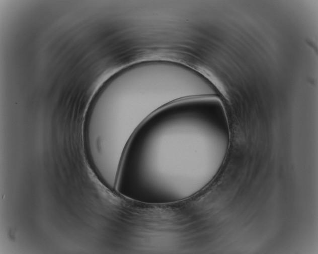 X0000091960980200709061056