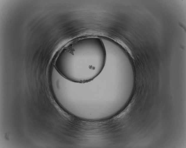 X0000091960981200709061056
