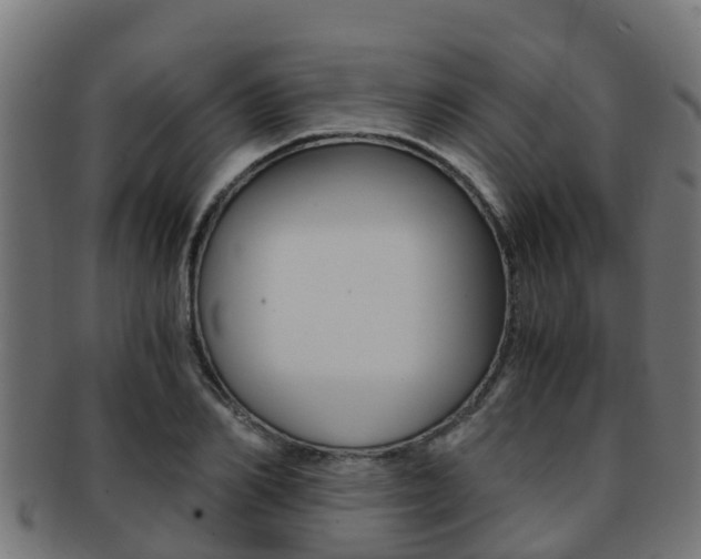 X0000091960982200709061056
