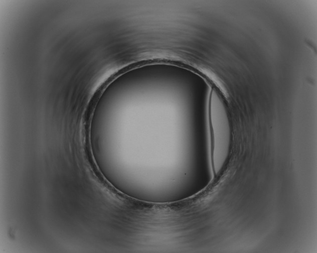 X0000091960983200709061056