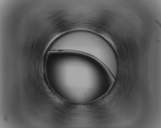 X0000091960984200709061056