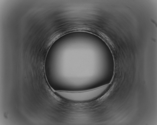 X0000091960985200709061056