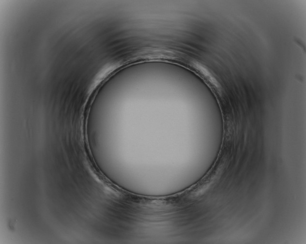 X0000091960986200709061056