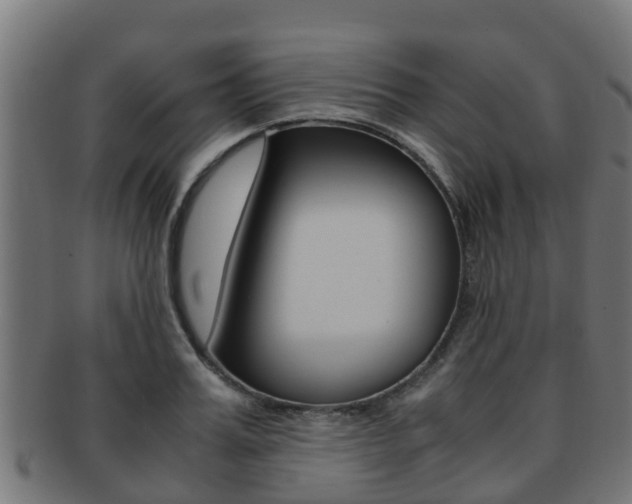 X0000091960987200709061056