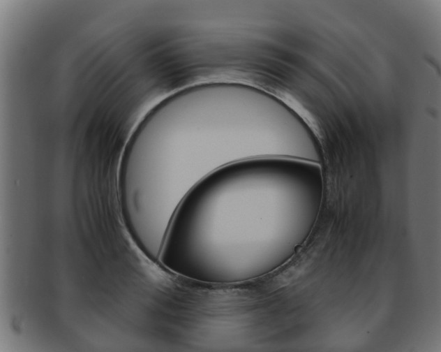 X0000091960988200709061056