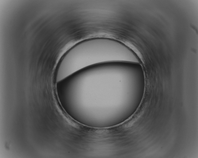 X0000091960989200709061056