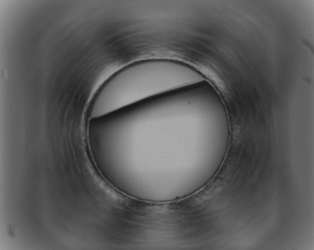 X0000091960990200709061056