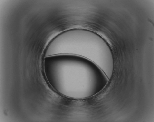 X0000091960991200709061056