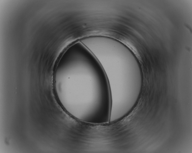 X0000091960992200709061056