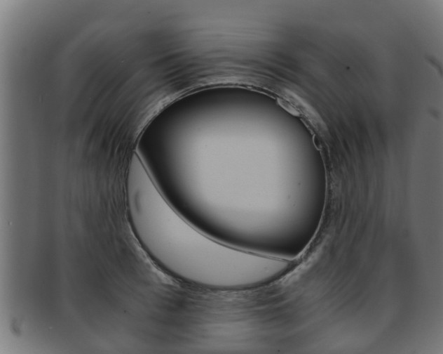X0000091960993200709061056