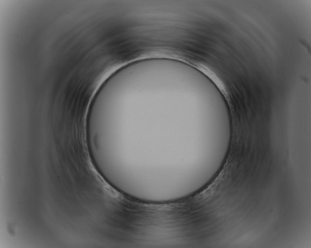 X0000091960996200709061056