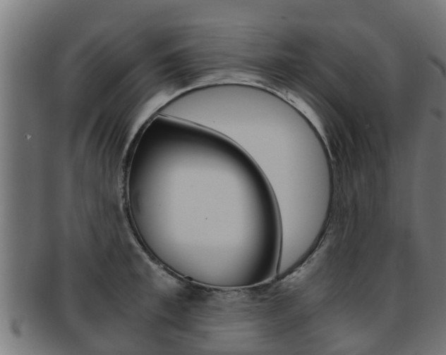 X0000091960997200709061056