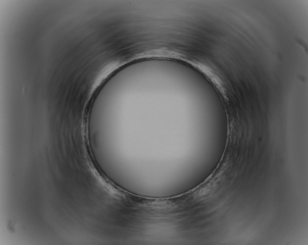X0000091960998200709061056