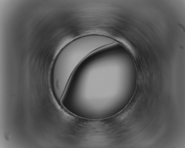 X0000091960999200709061056