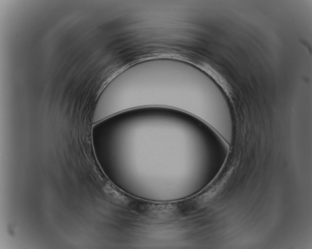 X0000091961001200709061056
