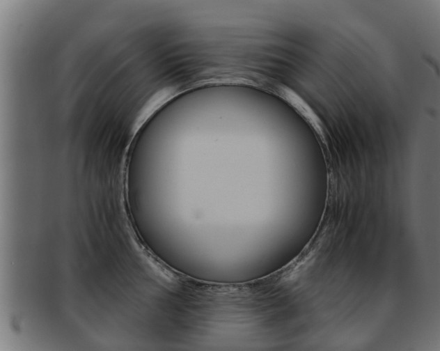 X0000091961002200709061056